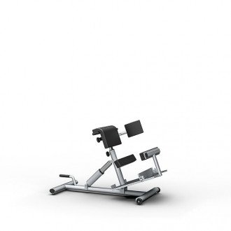 Скамья для гиперэкстензии Proxomed Compass MTT Trunk Trainer Combi в 
