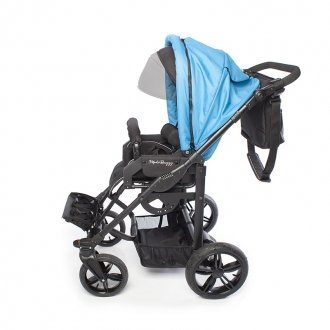 Детская прогулочная коляска ДЦП Liwcare Modi Buggy на раме Rico в 