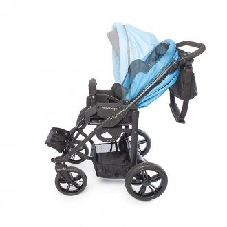 Детская прогулочная коляска ДЦП Liwcare Modi Buggy на раме Rico в 