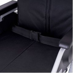 2-точечный ремень
