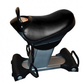 Иппотренажёр Takasima S-Rider SKY 007 в 