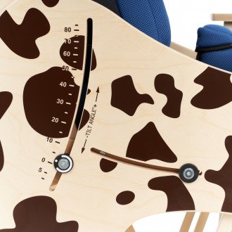 Детская комнатная кресло-коляска Akcesmed Dalmatian Invanto Dt-2 в 