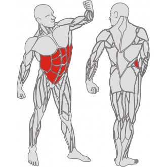 Тренажёр механотерапевтический для мышц пресса Hur Rehabilitation 5340 в 