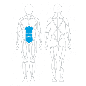 Тренажёр механотерапевтический для пресса David Abdominal Crunch G130 в 