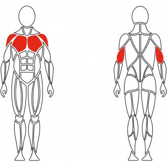 Тренажёр механотерапевтический для мышц груди David Chest Press G510 в 