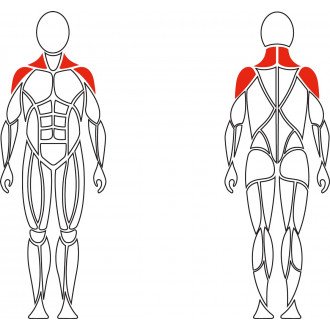 Тренажер механотерапевтический David Shoulder Concept F620 разведение рук в стороны в 